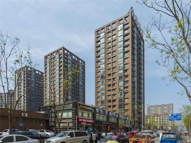 浙江防火塑料绿植哪家好